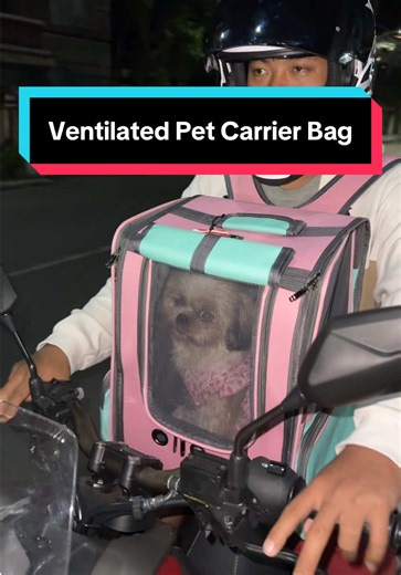 Comfy Pet Carrier Bag for Your Furbabies