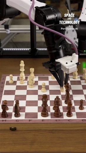 Perceptron’s New Open-Source AI Model Makes Robots Smarter