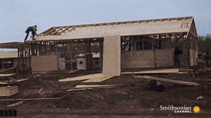 7.4K views · 121 reactions | When and where did modern suburbia get...