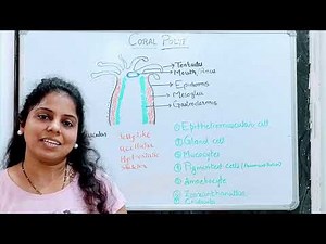 Coral Polyp | Structure of Coral Polyp | UPSC | NEET