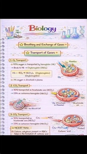 🧬 Biomolecules – The Chemistry of Life 🧪