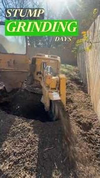 Watch This Stump Disappear in Minutes!