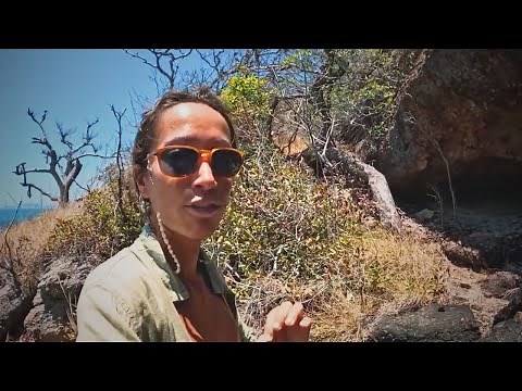 15 Most Disturbing Camping Encounters Ever Caught On Camera That Will Terrify You