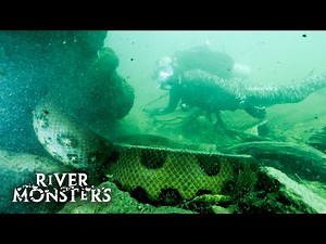 Swimming With A Snake That Could Swallow A Human Whole | River Monsters