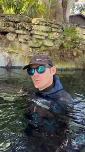 Don’t swim in water where there are gators!! Unless you’re on my tour of course 😂. Says the guy swimming with gators! 😂 but seriously, do not enter the water in gator habitat, if you want to swim with a gator come do one of my tours!! I’ve been diving with wild alligators AND crocodiles here in Florida, Costa Rica, Mexico, and Botswana, these are apex predators and I like to remind everyone I am a trained professional, never try anything in my videos on your own, and if you want to see a gator