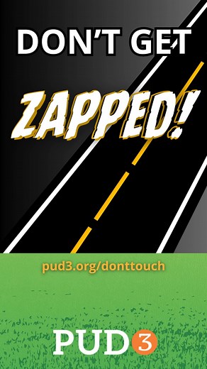 This is your reminder to stay AT LEAST 100 feet away from downed power lines. Don't Touch. Don't Approach. Don't Drive over or under. Spread the word and save a life! | Mason PUD 3