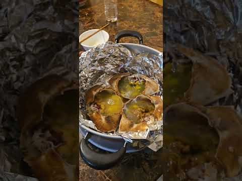 COOK snails and the crabs for dinner October 20,2025