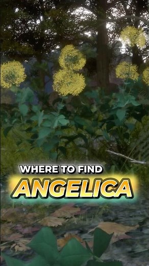 How to Get Angelica Fast | Pax Dei Resource Guide #paxdei #guide #resources