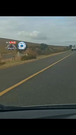 1.2K views · 147 reactions | Fatal MVA (07:07) N7 Inbound, 2km after Swartland 1 Stop Two Vehicles Involved Services on scene #WCLiveTraffic #WCLiveZello #Bosbeer2006 #BokRadio #LimaCharlie1 #TaurusMedical #Logan | WC Live Traffic & Safety Reports | Facebook
