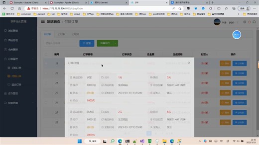 VUE ASP.NET CORE 前后端分离项目 ERP 仓库管理系统