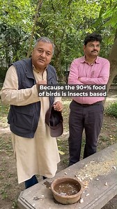 10K reactions · 16K shares | This is why you should not feed birds | Give Me Trees Trust | Facebook