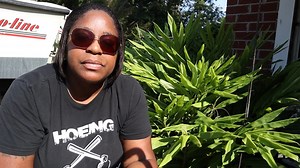 Growing Shampoo Ginger AKA Awapuhi 🫚 #blackstropicalhomestead #shampoo #shampooginger #awapuhi #ginger #growing #gardening #garden #farming #fypviralシ #fypシ #fypシ゚ #herbs #naturelovers #herbal #howto #follow | Sherrie D Black