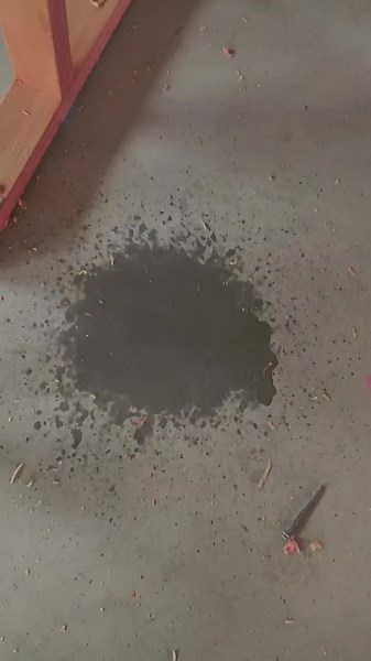 Exploring a Construction Site: Wood Framework and Design