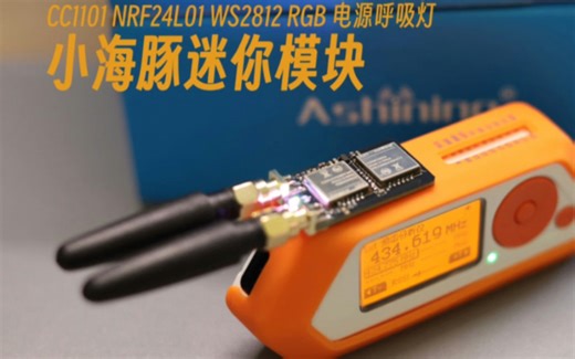 Flipperzero小海豚cc1101 nrf24 ws2812 整合拓展板展示