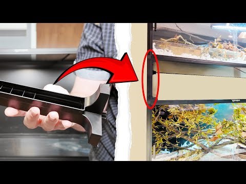 How to Stack Reptile Enclosures as Easy as Lego!