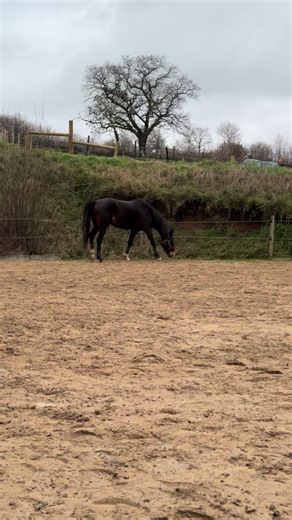 PANDORAAA ❤️ (12th of January)