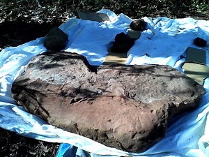 Enormous Giants Discovered in Connecticut USA (3ft wide hand) DNA Tested and Cat Scanned Fingers