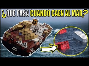 THIS HAPPENS IF A CONTAINER FALLS INTO THE SEA