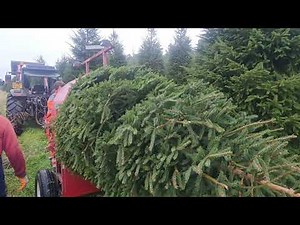 Hovei Christmas tree baler