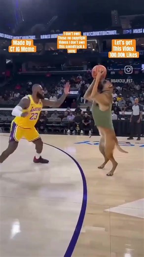 Chris trickel’s super new Wild&Power insane of AiScooby Doo 3 point shot KingJames23 Yeah!DanielWad