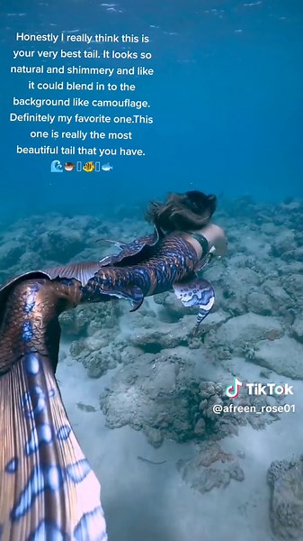 The Legend of the Blue Sea Mermaid Tail: A Stunning Dream Tail