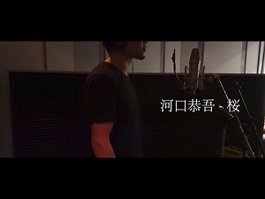 桜 / 河口恭吾 Cover 【歌ってみた】朝倉未来