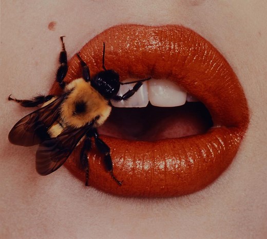 Irving Penn: Beyond Beauty