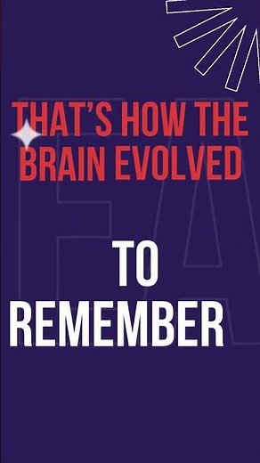 Memory is spatial, visual and externalized. Rooms, paths, anchors, images.