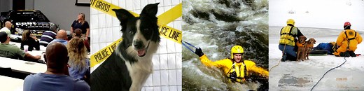 Animal Control Officer Coalition