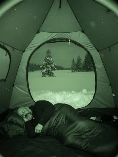 #rådjur #klippan #deer #animals #sweden 🇸🇪