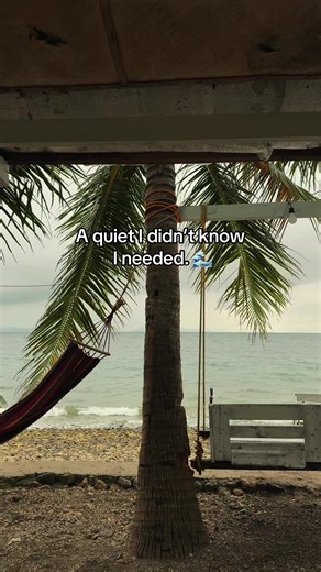 The Silent Wisdom of the Ocean