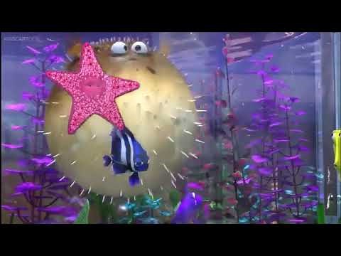 Finding Nemo - Bloat Inflation