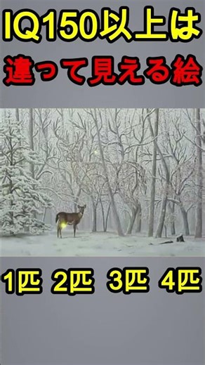 Pictures that look different to people with an IQ of 150 or above #viral #shortfeed #japan