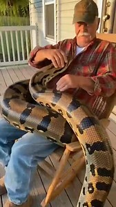 My grandpa have a giant anaconda pet 😂 #anaconda #helicopterview #Amazon #scary #snake #aigenerated #backtowork | Americana Whispers