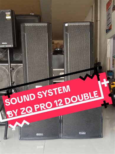 sound system control by ZQpro 12 inch double