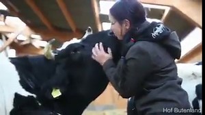 47K views · 30 reactions | Who reminds you of this sound :) :) The Sounds this Ox makes are Priceless<3<3 | Farming Life | Facebook