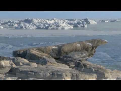 Speakout 2nd Edition example BBC clip