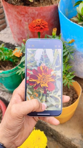 IPHONE 15⚡Camera Test📸#iphone15 #iphone14 #iphone13 #iphone16 #iphone17 #iphone18 #trending #shorts