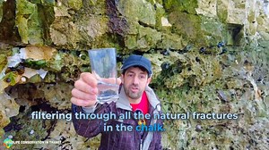 Have you ever tried it? Chalk spring water is alkaline and full of minerals that are useful to living organisms Farming fertilizers, pesticides, herbicides, and urban sewage can seriously affect the quality of the water. | Get Wild