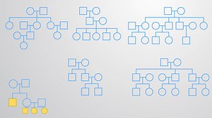 ビデオ: 確率の法則