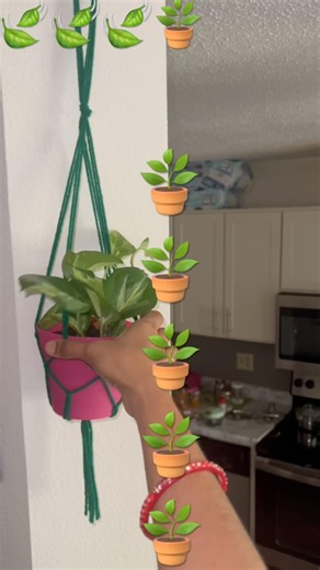 Make your own hanging planters #diy #hangingplants #ytshorts #plants