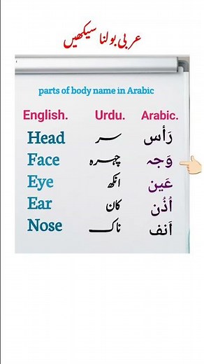 parts of body in Arabic language! #arabicshorts #Arabi to English