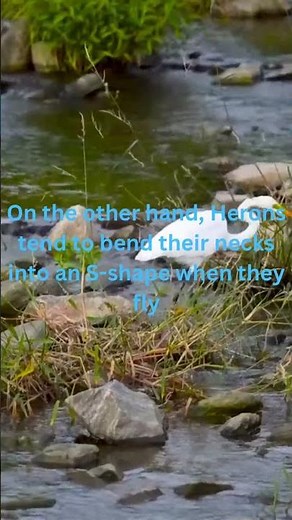 What is the difference between a HERON and a CRANE?