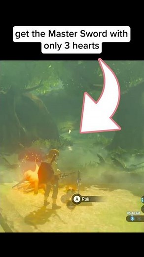 How to get the Master Sword with 3 hearts in Breath of the Wild