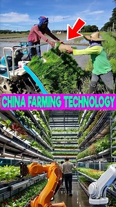 1.9M views · 10K reactions | China के Farmers  – Technology + Hard Work 勞 #China#ExploreChina#ChinaReels#ChineseCulture#DiscoverChina | Fact Expert | Facebook