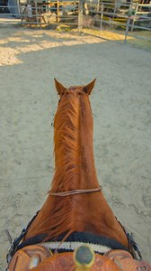 Every Cowboy knows it’s never just about the ride. 🐎💭 It’s the bond, the quiet trust, the unspoken connection that keeps us grounded. The horses teach us patience, presence, and peace. How do you stay grounded? ⬇️ | Compton Cowboys