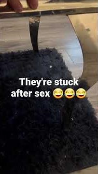 2 Dogs stuck together after sex 😂😂