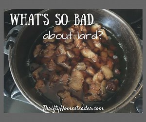 What's So Bad About lard?