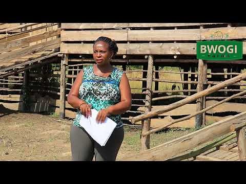 HOW TO PLAN FOR A RAISED GOAT PEN Part 1