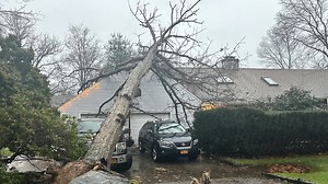 The Six Steps You Should Take After a Tree Falls on Your House